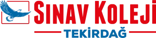Tekirdağ Sınav Koleji logosu